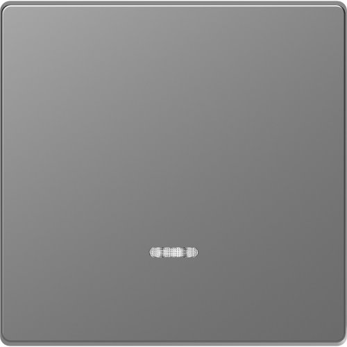 Лицевая панель Schneider Electric Merten D-Life для 1-кл. выключателя с подсветкой сталь фото Лицевая панель Schneider Electric Merten D-Life для 1-кл. выключателя с подсветкой сталь картинка